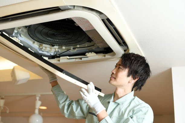Best Affordable Duct Cleaning Services  in Hartselle, AL